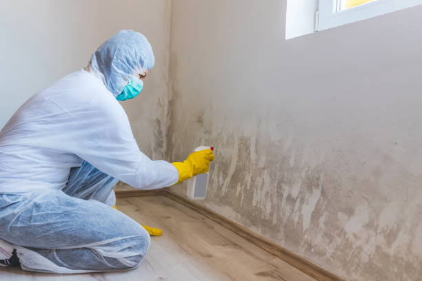Hvac And Air Duct Mold Remediation inspection of HVAC system in Solomons